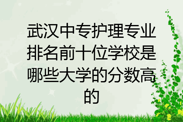 武汉中专护理专业排名前十位学校是哪些大学的分数高的