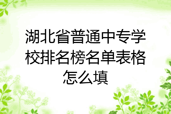 湖北省普通中专学校排名榜名单表格怎么填