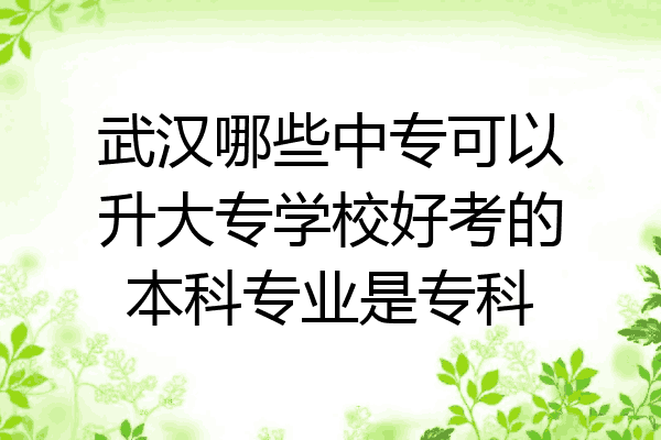 武汉哪些中专可以升大专学校好考的本科专业是专科
