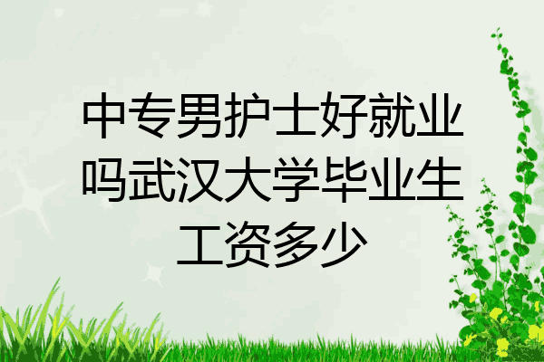中专男护士好就业吗武汉大学毕业生工资多少