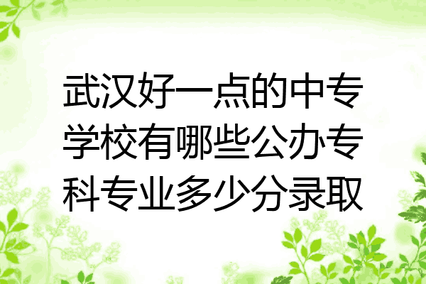 武汉好一点的中专学校有哪些公办专科专业多少分录取