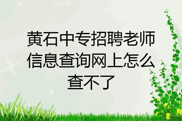 黄石中专招聘老师信息查询网上怎么查不了
