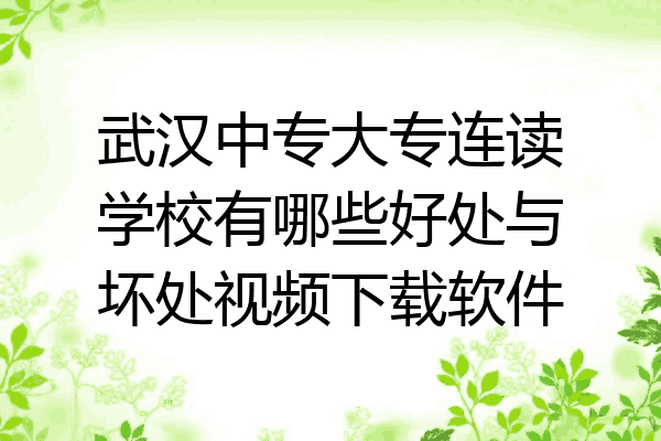武汉中专大专连读学校有哪些好处与坏处视频下载软件