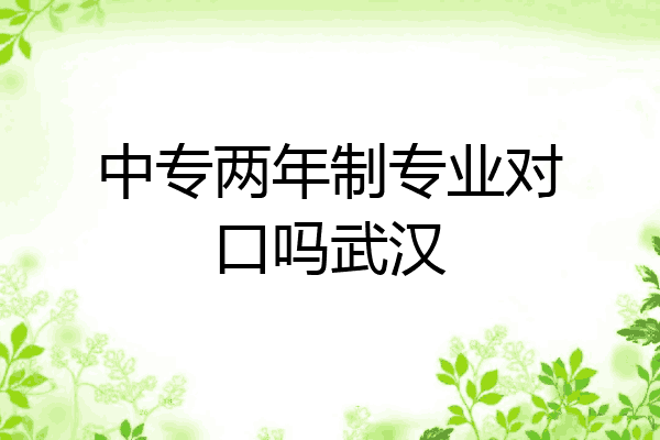 中专两年制专业对口吗武汉