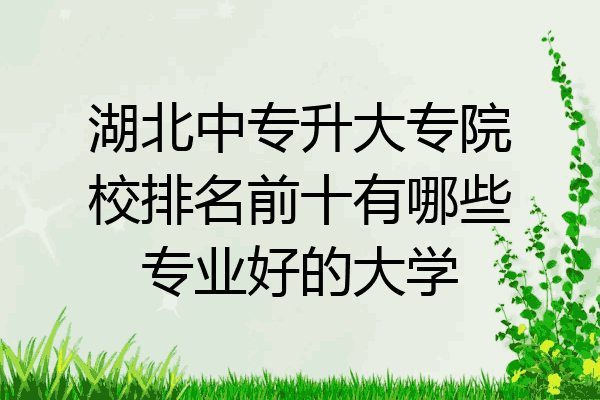 湖北中专升大专院校排名前十有哪些专业好的大学