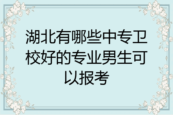 湖北有哪些中专卫校好的专业男生可以报考