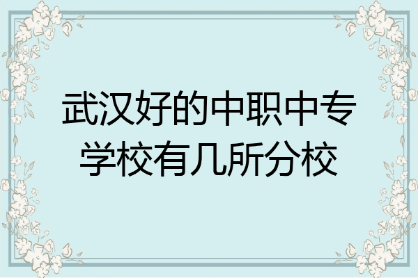 武汉好的中职中专学校有几所分校