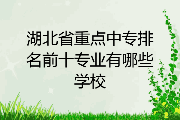 湖北省重点中专排名前十专业有哪些学校