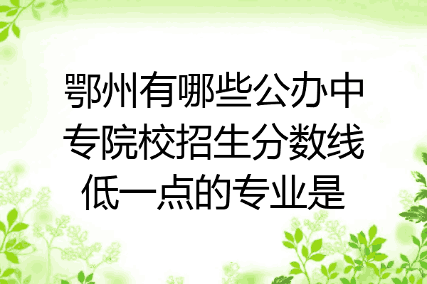 鄂州有哪些公办中专院校招生分数线低一点的专业是