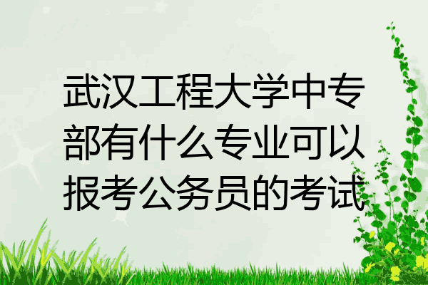武汉工程大学中专部有什么专业可以报考公务员的考试