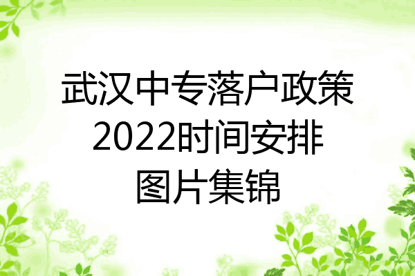 武汉中专落户政策2022时间安排图片集锦