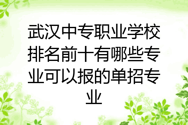 武汉中专职业学校排名前十有哪些专业可以报的单招专业
