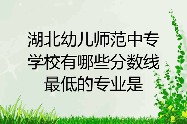 湖北幼儿师范中专学校有哪些分数线最低的专业是