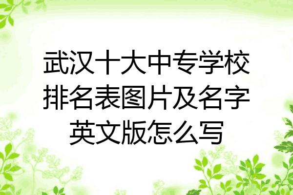武汉十大中专学校排名表图片及名字英文版怎么写