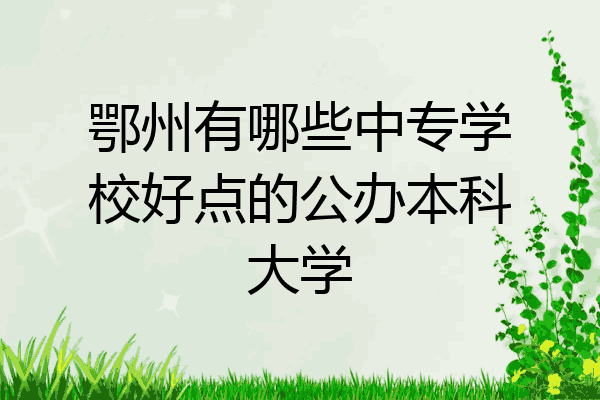 鄂州有哪些中专学校好点的公办本科大学