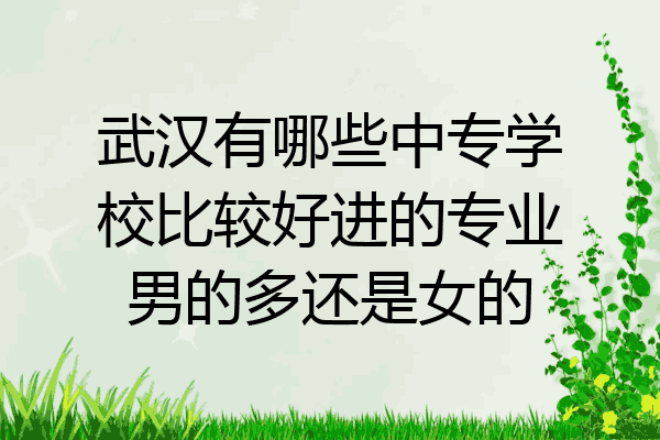 武汉有哪些中专学校比较好进的专业男的多还是女的