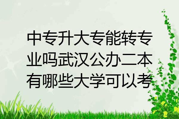 中专升大专能转专业吗武汉公办二本有哪些大学可以考