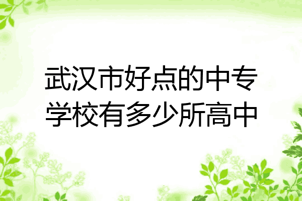 武汉市好点的中专学校有多少所高中