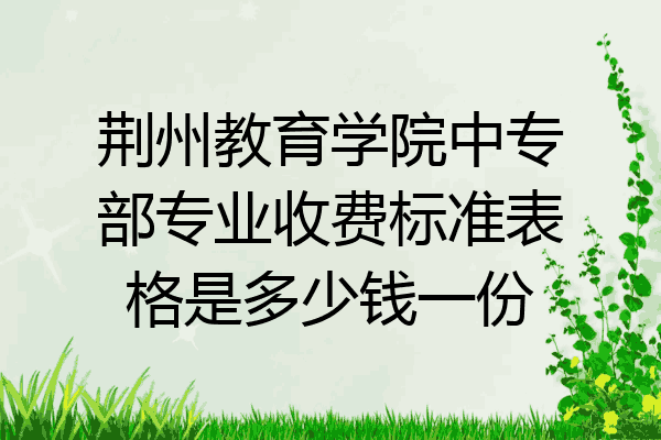 荆州教育学院中专部专业收费标准表格是多少钱一份