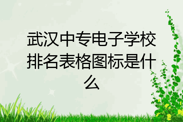武汉中专电子学校排名表格图标是什么