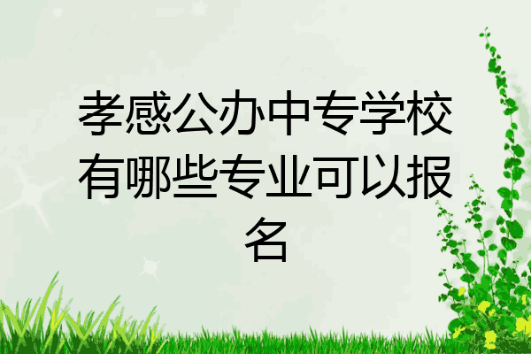 孝感公办中专学校有哪些专业可以报名