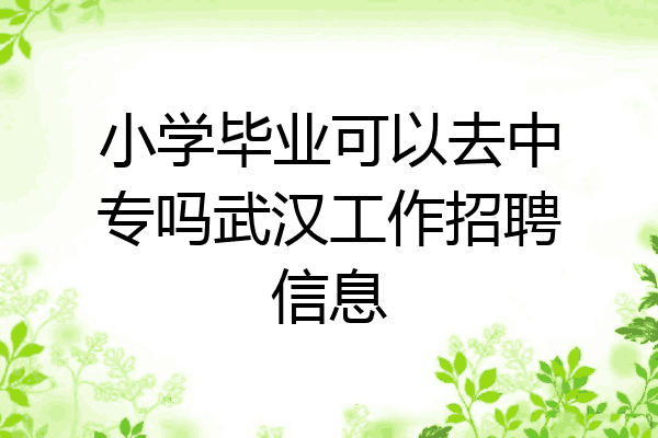 小学毕业可以去中专吗武汉工作招聘信息
