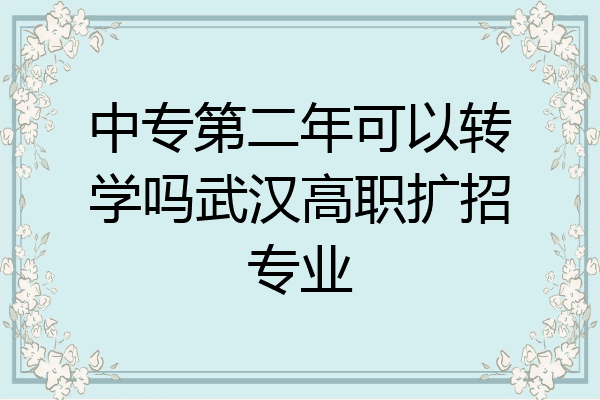 中专第二年可以转学吗武汉高职扩招专业