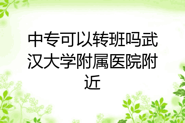 中专可以转班吗武汉大学附属医院附近