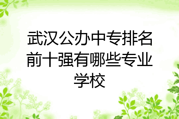 武汉公办中专排名前十强有哪些专业学校