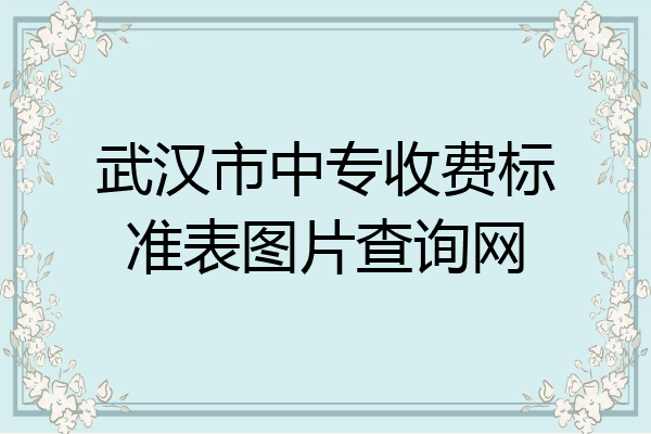 武汉市中专收费标准表图片查询网