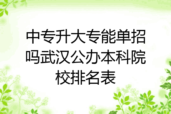 中专升大专能单招吗武汉公办本科院校排名表