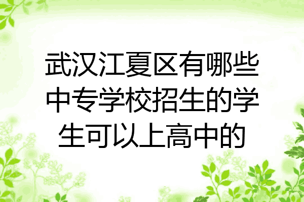 武汉江夏区有哪些中专学校招生的学生可以上高中的