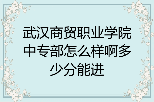 武汉商贸职业学院中专部怎么样啊多少分能进
