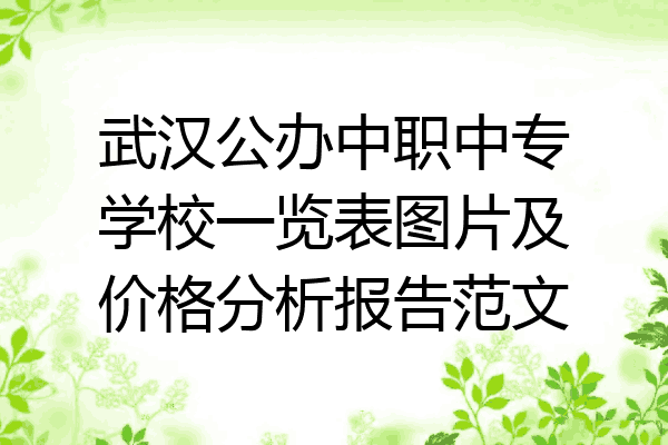 武汉公办中职中专学校一览表图片及价格分析报告范文