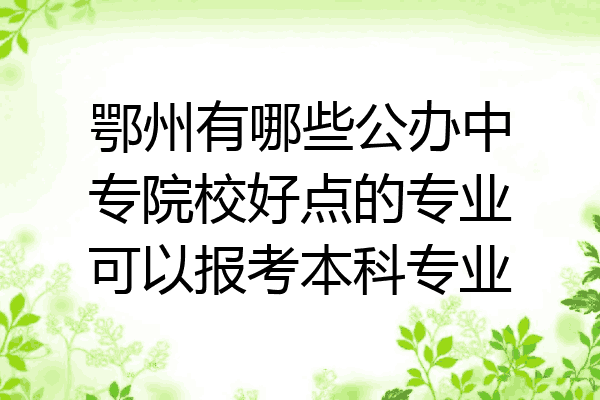 鄂州有哪些公办中专院校好点的专业可以报考本科专业