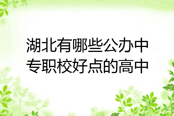 湖北有哪些公办中专职校好点的高中