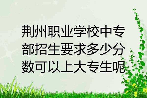 荆州职业学校中专部招生要求多少分数可以上大专生呢