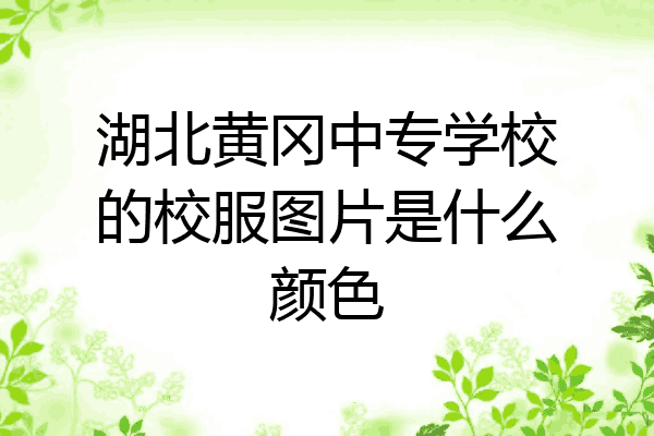 湖北黄冈中专学校的校服图片是什么颜色