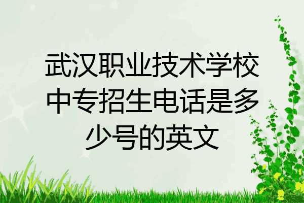 武汉职业技术学校中专招生电话是多少号的英文