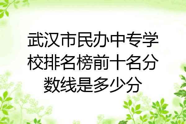 武汉市民办中专学校排名榜前十名分数线是多少分