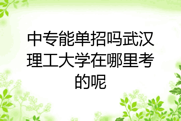 中专能单招吗武汉理工大学在哪里考的呢
