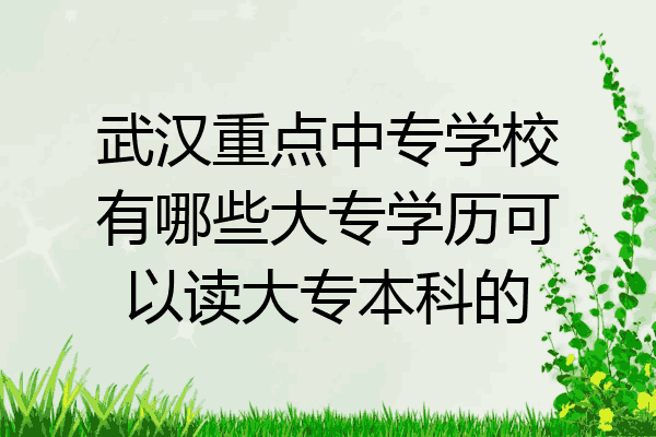 武汉重点中专学校有哪些大专学历可以读大专本科的