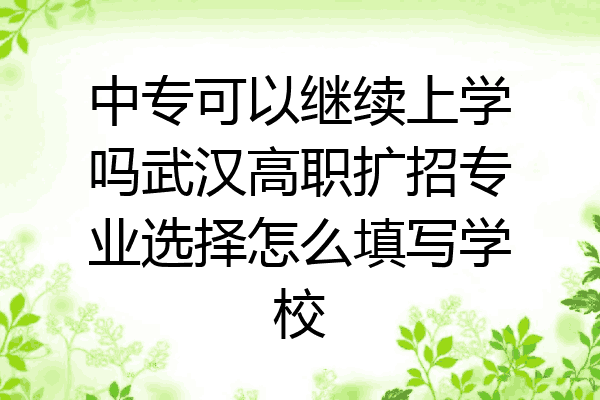 中专可以继续上学吗武汉高职扩招专业选择怎么填写学校