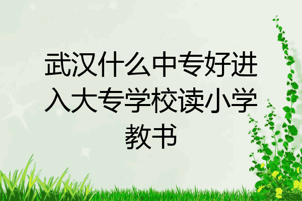 武汉什么中专好进入大专学校读小学教书