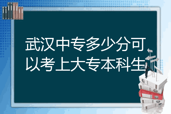 武汉中专多少分可以考上大专本科生