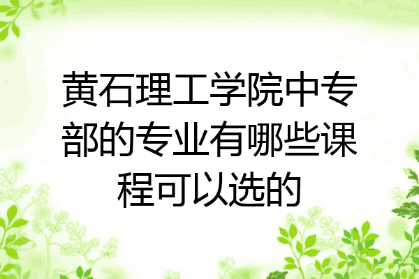 黄石理工学院中专部的专业有哪些课程可以选的