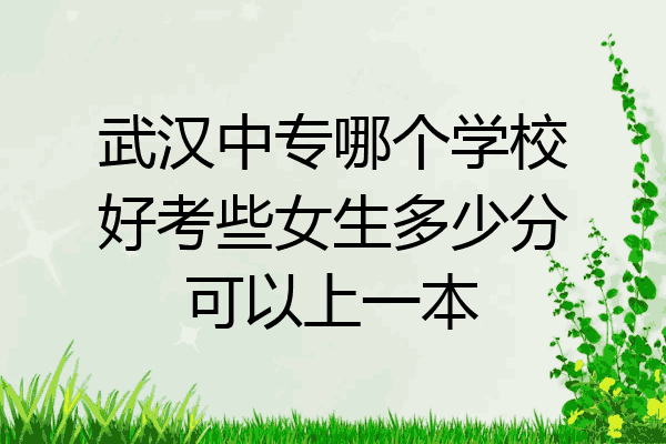 武汉中专哪个学校好考些女生多少分可以上一本