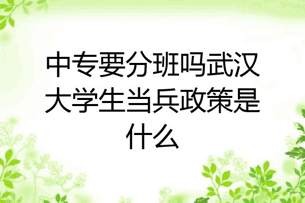 中专要分班吗武汉大学生当兵政策是什么