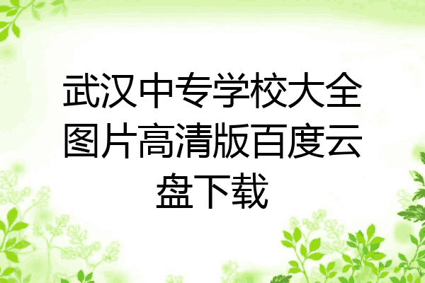 武汉中专学校大全图片高清版百度云盘下载