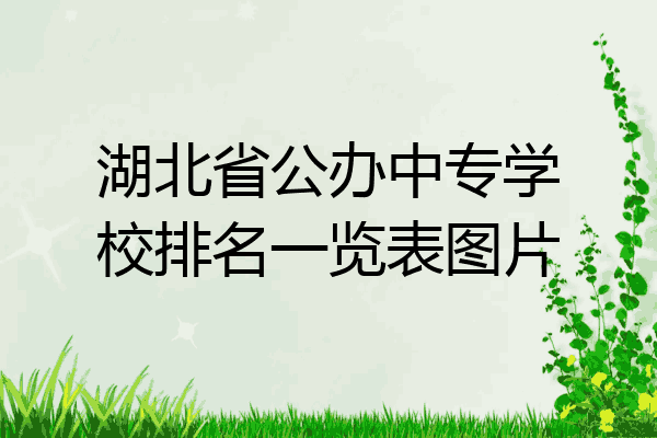 湖北省公办中专学校排名一览表图片